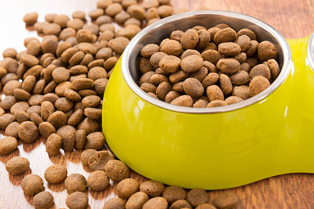 Dry Pets Food Stock Photo - Download Image Now - Dog Food, Cat Food, Dog - iStock